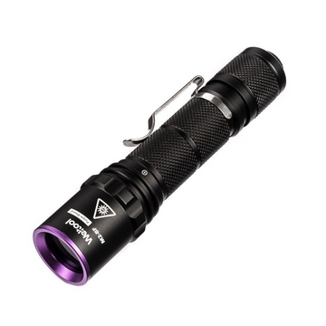 UV Blacklight