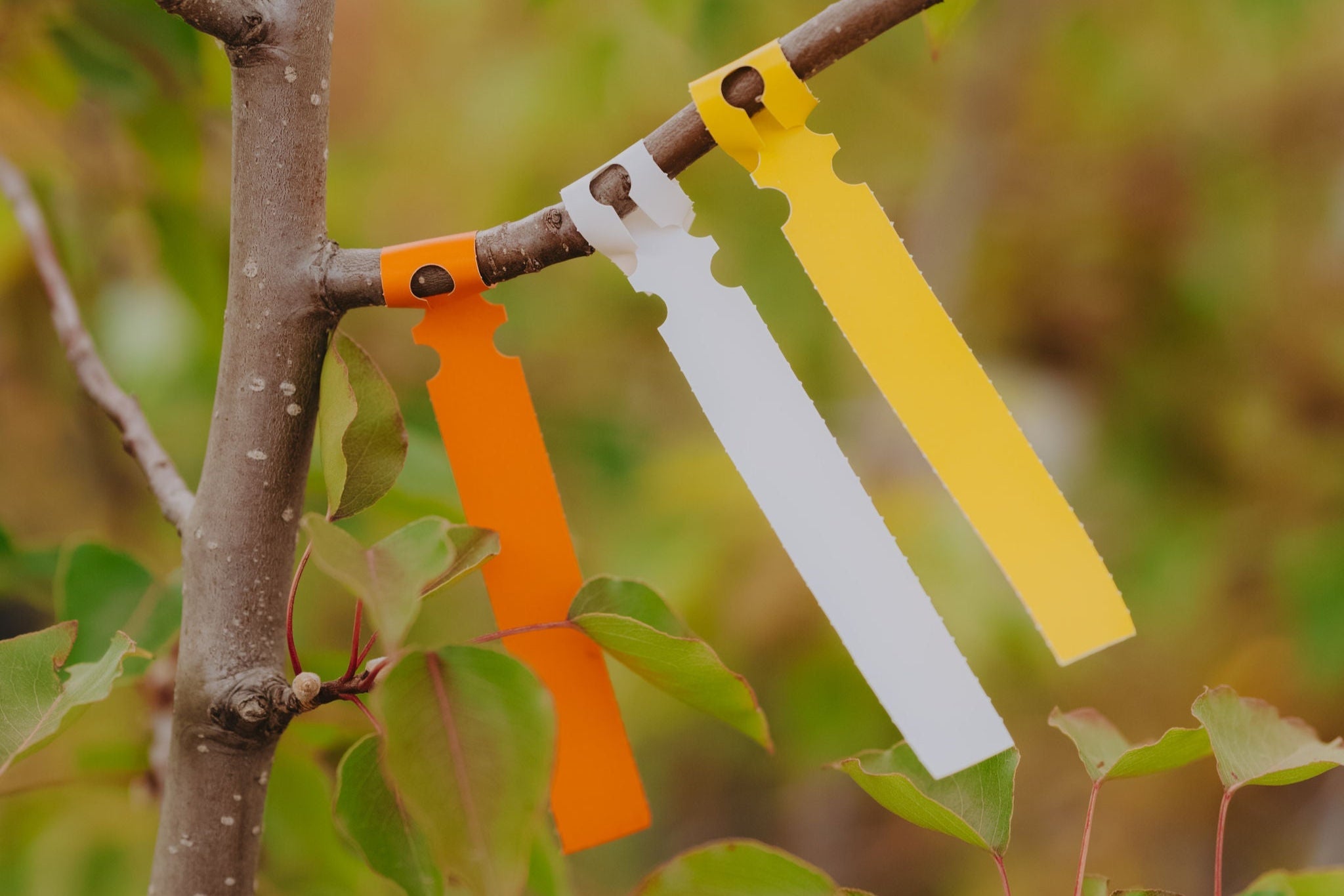 Plant Tagging