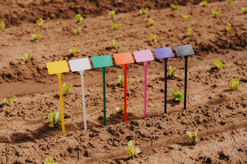 Display Stakes