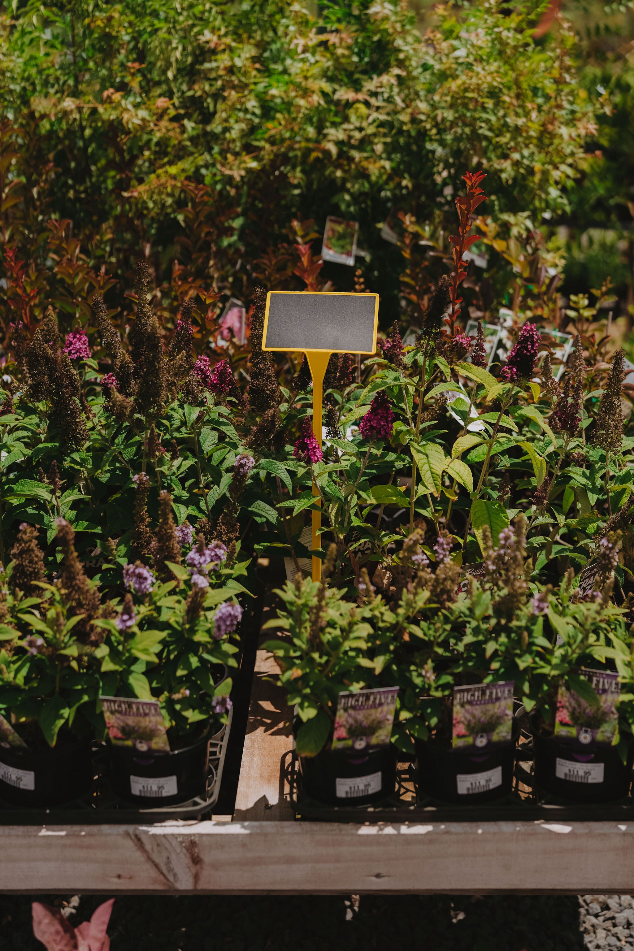 BB1 Blackboard Display Stake