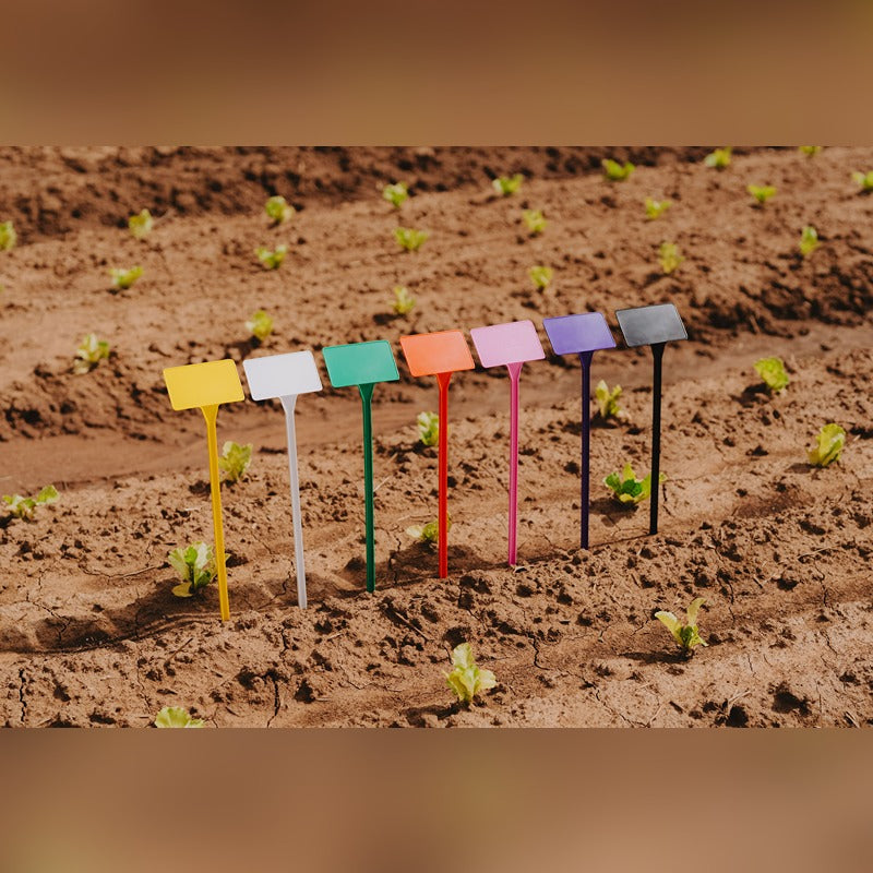 PL2 Display Stake