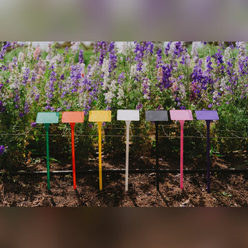 PL2 Display Stake