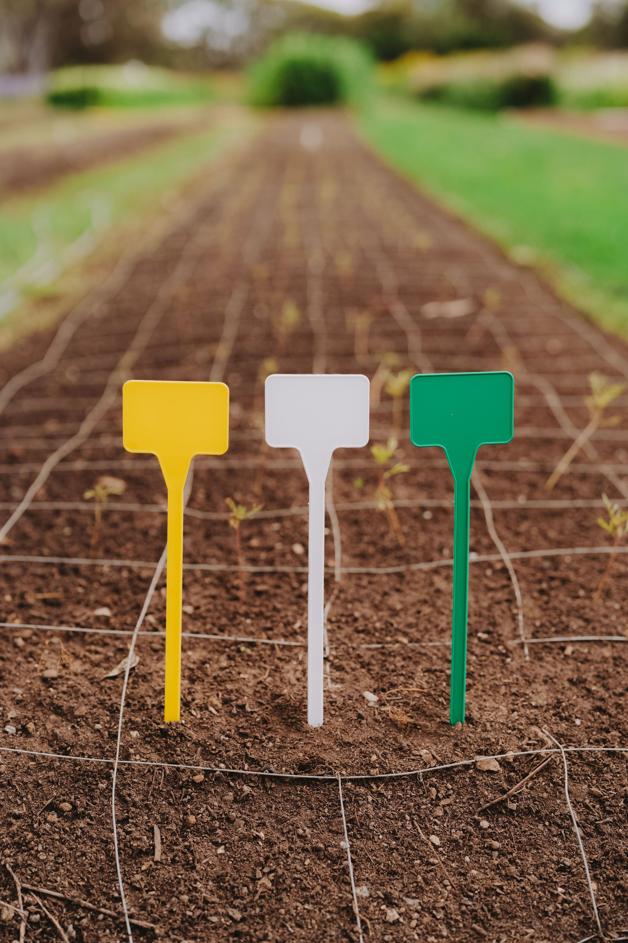 PL7 Display Stake