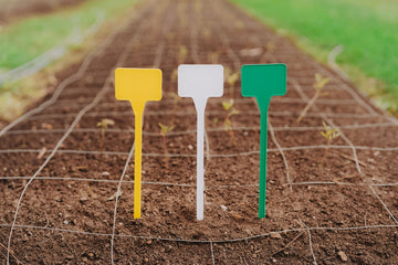 PL7 Display Stake