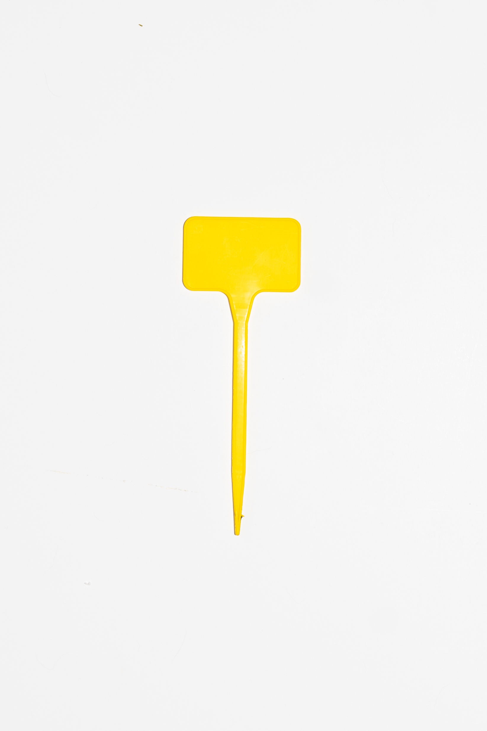PL8 Display Stake