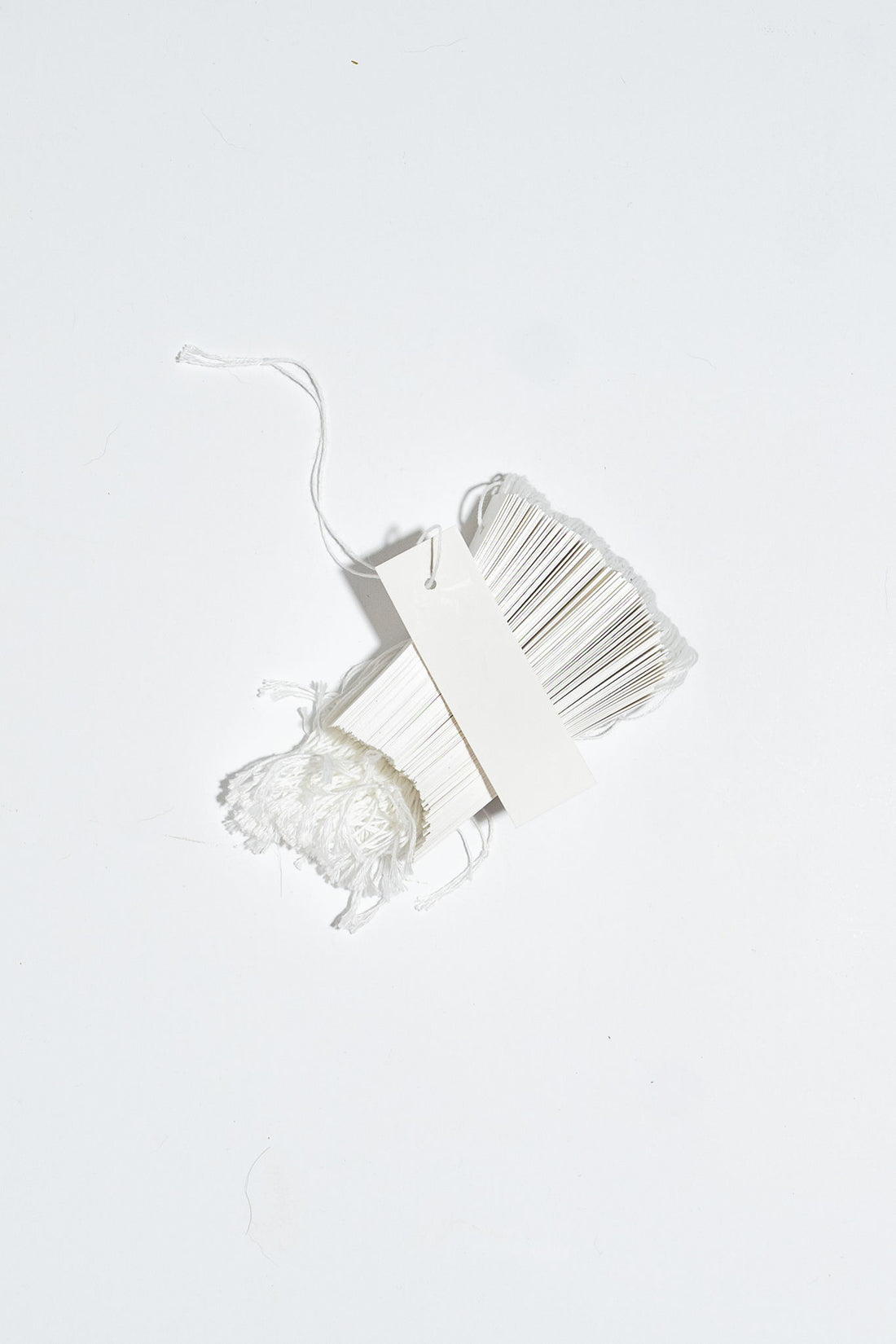 Plastic Strung Tags (500)