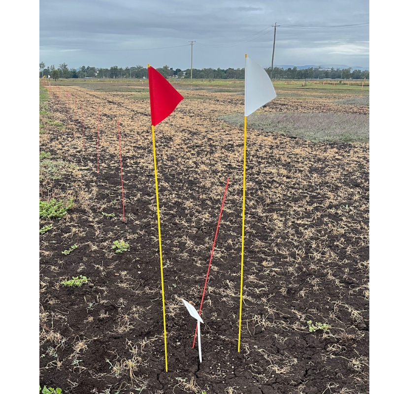 Field Flags