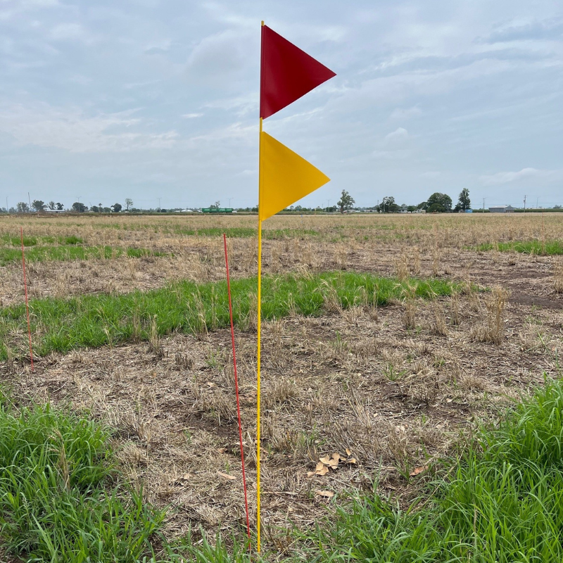 Field Flags